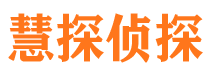 蒙山侦探公司